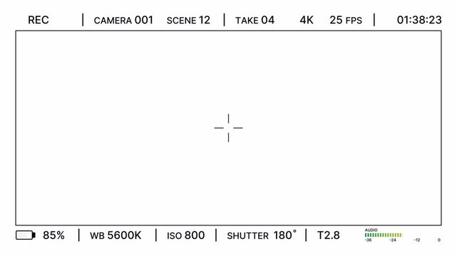 Modern camera recording screen with REC, scene details, audio meter, exposure settings for editing. Filmmaking camera HUD clean recording interface for broadcast. Professional video viewfinder. 4K