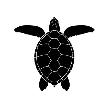 Silhouette of a sea turtle with outstretched flippers on a white background.