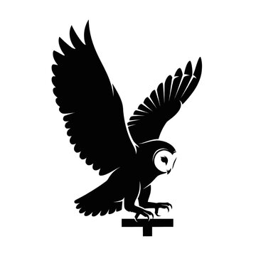 Silhouette of a barn owl in flight, landing on a perch with wings spread wide.