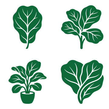 Four green houseplants isolated on white background top view line art cut out outline drawing leaf shape potted plant fiddle leaf fig houseplant botanical illustration decoration isolated