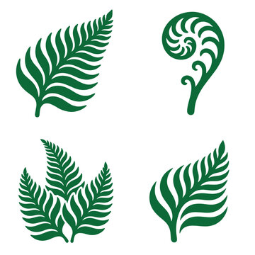 Four green fern leaf silhouettes with leaf shape binomial nomenclature plant anatomy leaf pattern leaf vein plant part isolated on white graphic design silhouette fructification ornamental