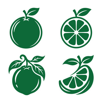 Green citrus fruit graphic vector collection featuring whole oranges and slices showing segments and leaves cross section vitamin c illustration abstract isolated vegetarian tropical creative