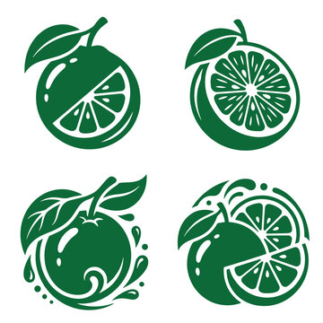 Stylized green citrus fruit graphics vector set with whole oranges creative slices abstract swirl elements cross section vitamin c illustration abstract isolated vegetarian tropical