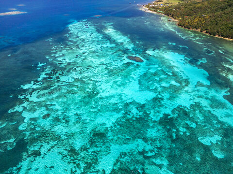 Aerial view of vibrant coral reefs and turquoise waters along the lush tropical coastline of Guanaja, Bay Islands Department, Honduras.
