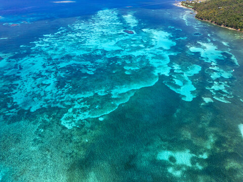 Aerial view of the vibrant coral reefs and turquoise waters along the lush coastline of Guanaja, Bay Islands Department, Honduras.