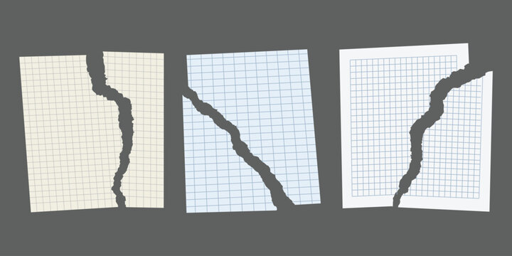 Set of torn paper sheets with grid pattern, realistic ripped notebook pages, vector illustration 
