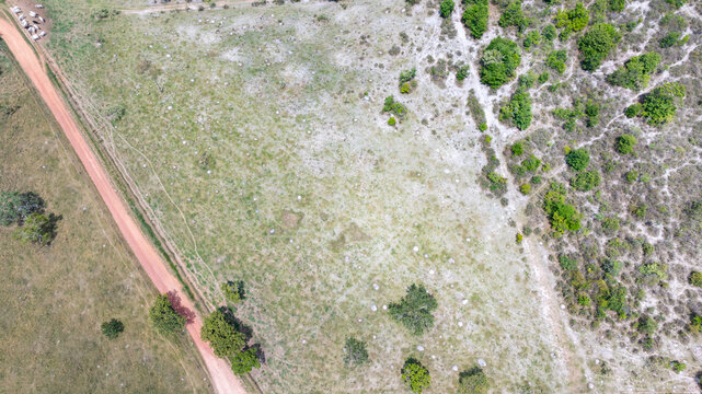 Murundu fields are geomorphological formations, with small convex mounds of earth up to 20 meters in diameter as groundwater recharge areas, they are threatened with extinction. Bras&iacute;lia, 2025