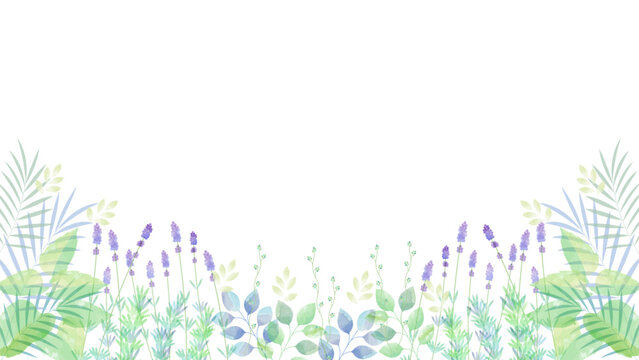 透明感のある水彩風 植物のイラストイメージ
