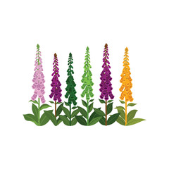 Colorful foxglove flowers vector clipart isolated on white for botanical design © azad
