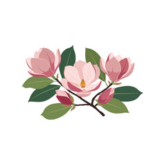 Magnolia Flower Branch Vector Clipart Isolated Pink Floral Illustration Design © azad