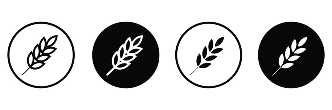 Wheat icon vector illustration for bakery logo pasta label cereal pictogram and healthy nourishment agricultural design