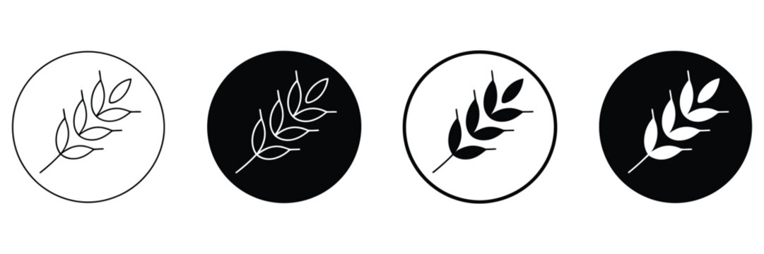 Durum wheat symbol icon for pasta bakery branding cereal nutrition and healthy food label in clean vector style