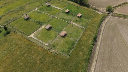 Farm Animal Enclosures from Above: An aerial view showcases neatly divided pastures with small shelters, designed for farm animals, set against a backdrop of rural fields and vegetation. © Andrew