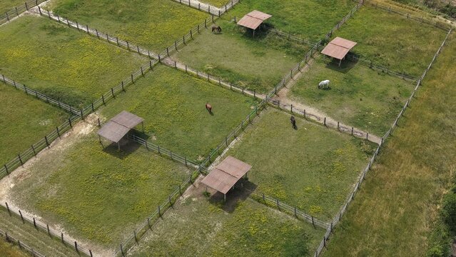 horses grazing in individual paddocks aerial view