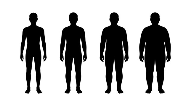 Visual representation of diverse male body shapes highlighting changes in weight and physical build