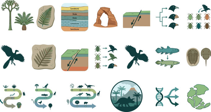 Geological history and biological evolution vector set with continental drift pangea prehistoric fossils tectonic plate faults and timelines