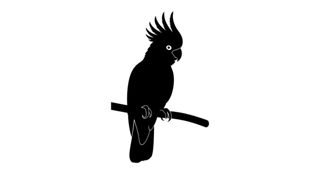 Minimalist black silhouette of a cockatoo parrot perched on a branch.