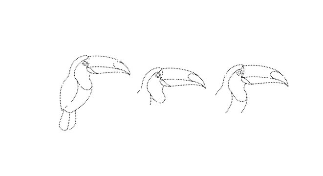 Exotic parrot head outline for tropical bird branding