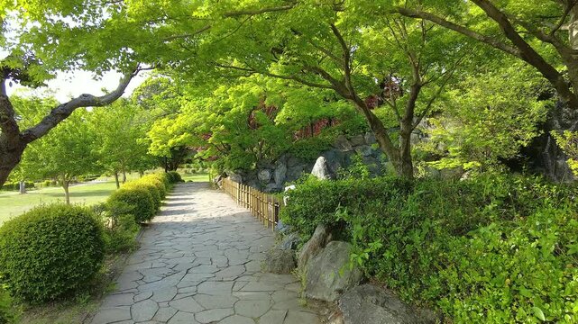 新緑の木道と滝