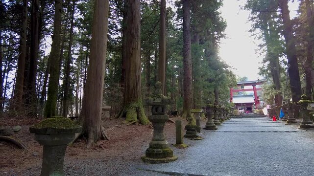 富士北口浅間神社の参道