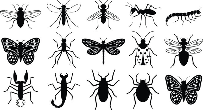 Insects bugs and arachnids collection silhouette vector icon set