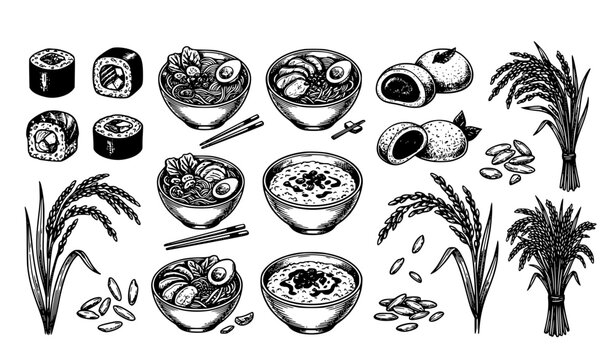 Rice Products Sketch Vector Icon Set with Sushi Noodles Mochi and Rice Plants