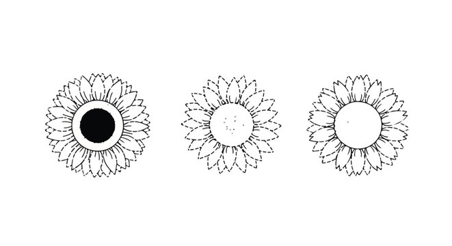 Sunflowers border arrangement on plain white background