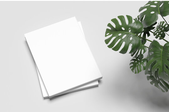 Book mockup with stack of two blank white covers flat lay next to monstera plant decoration, minimalist editorial catalog design template, realistic 3d render on light gray background