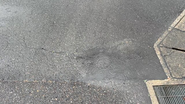 Water puddle on asphalt road with spreading ripples from raindrops