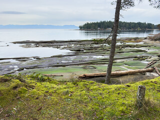 View from the coast of Gabriola Island at low tide © Lynda Potter