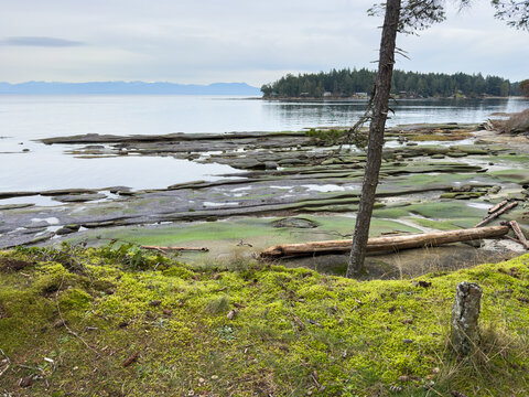 View from the coast of Gabriola Island at low tide