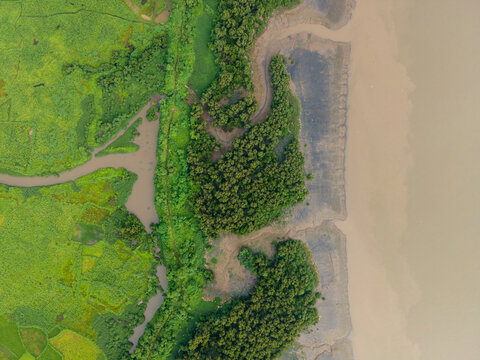 Scenic Monsoon Clouds Over Kalwa, Thane,
drone shot of thane creek with mangroves
