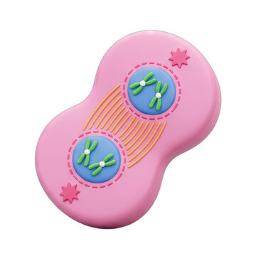 Cell Division: Mitosis Anaphase