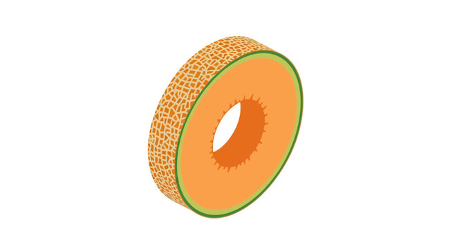 Isometric Cantaloupe Melon Slice Vector Illustration