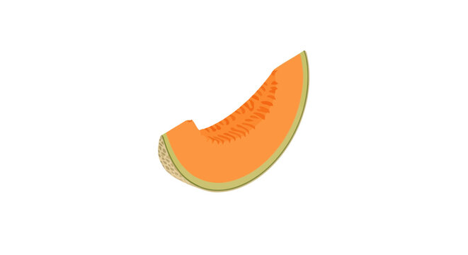 Slice of Fresh Cantaloupe Melon Vector Illustration