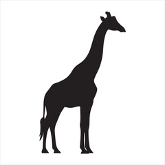 Fototapeta premium Simple elegant giraffe animal silhouette standing side view vector illustration