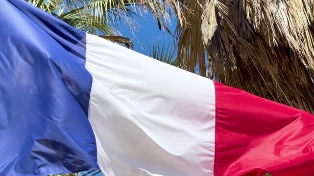French Tricolor Flag Waving in the Wind Against Palm Trees