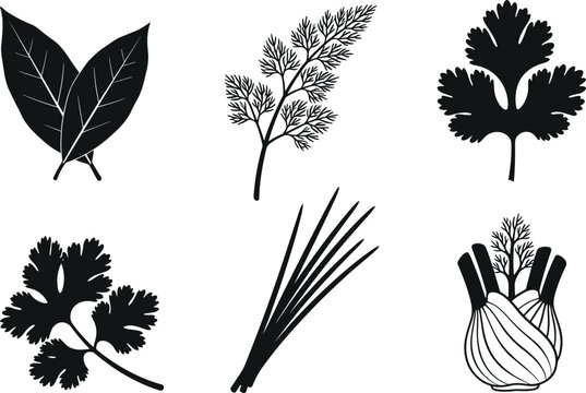 Fresh herbs black silhouette vector icons collection with bay leaf dill parsley cilantro chives and fennel bulb