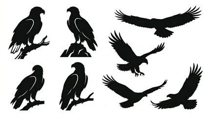 Obraz premium Black silhouette birds flying and perched in various poses isolated on white background, Vector