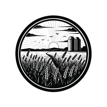 Wheat field at sunset rural landscape.