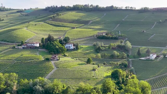 Aerial View of Rolling Barolo Vineyards in the Piedmont Italy Countryside