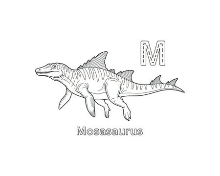 Mosasaurus ancient marine reptile, depicted swimming, black and white outline