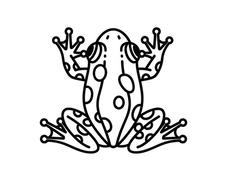 Top view of a spotted frog, outline, showing all four legs spread, white background