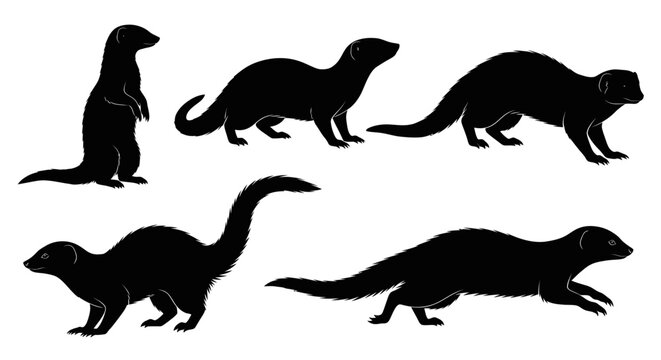 Mongoose Silhouettes Collection: Various Poses and Actions