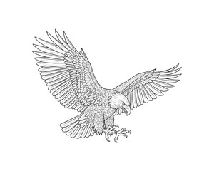 Fototapeta premium Bald eagle with spread wings in a sharp diving attack with talons extended ready to catch prey