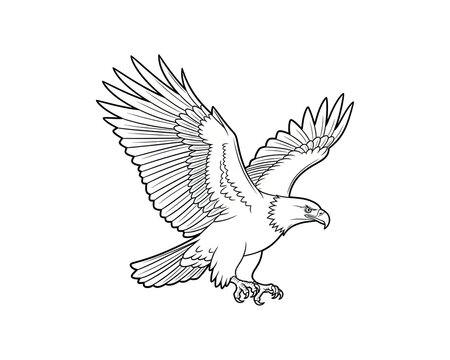 Bald eagle with spread wings in a sharp diving attack with talons extended ready to catch prey