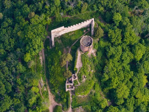 Aerial view of the historic Saint-Ulrich castle ruins with a round tower and stone walls surrounded by a dense green forest in Ribeauville, Grand Est, France.