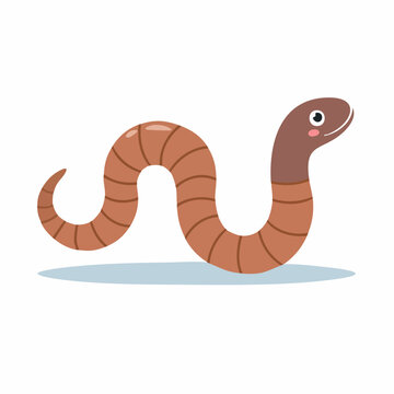 Cute Cartoon Earthworm Illustration