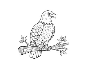 Fototapeta premium Bald eagle perched on a branch with leaves, side profile, isolated on white, bird of prey