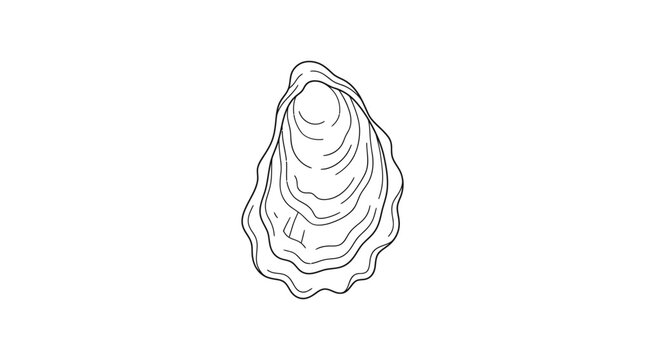 Hand drawn illustration of a single oyster shell.